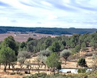 Finca rústica en venda en Requena amb Aire condicionat, Terrassa i Traster