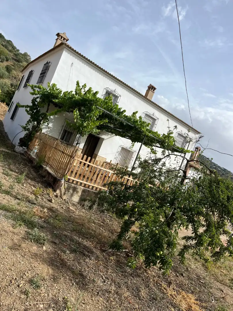 Jardín de Finca rústica de alquiler en Comares con Amueblado