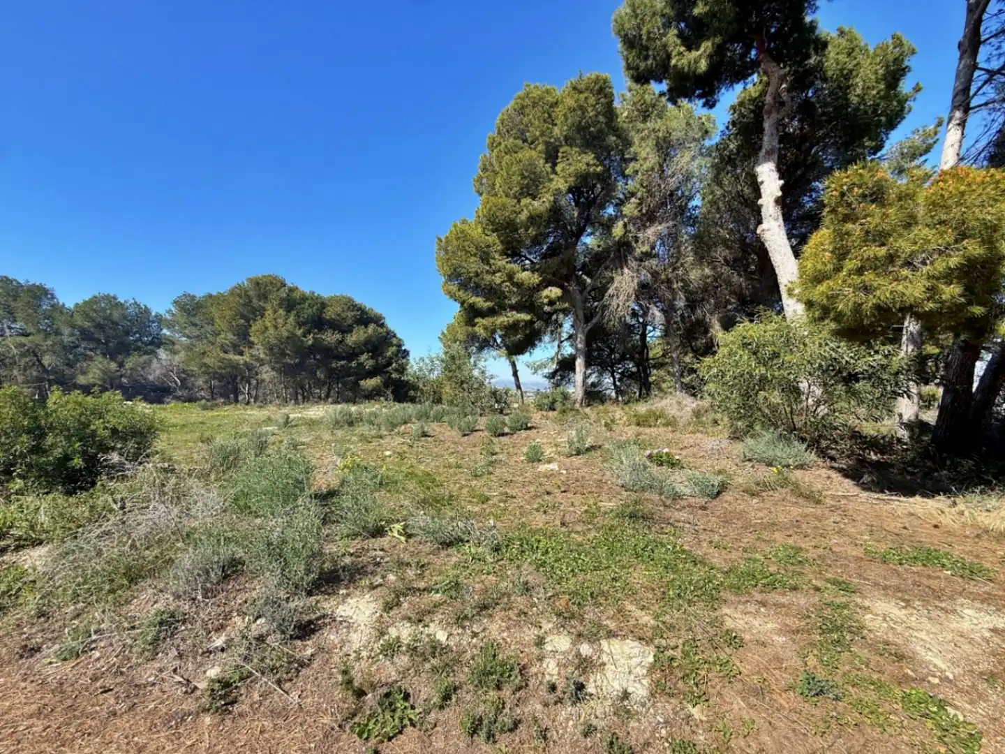 Terreny residencial en venda a Benimeit - Tabaira