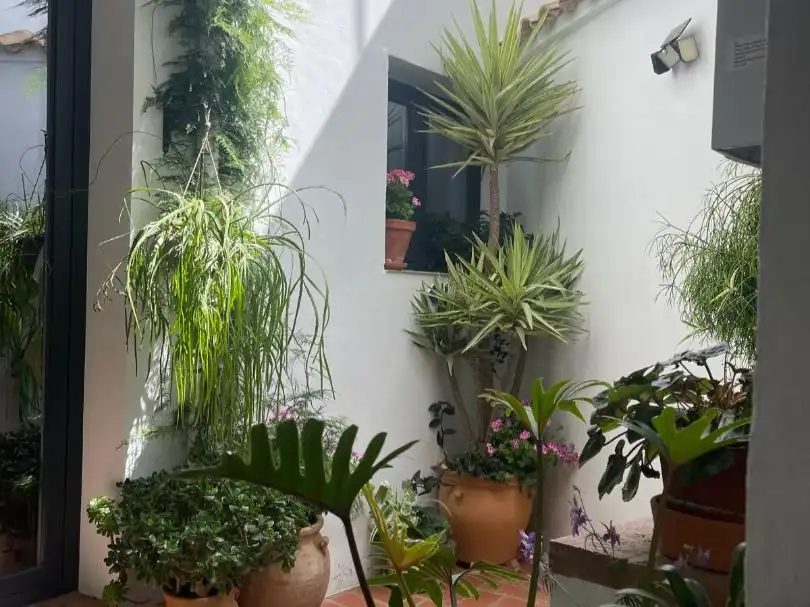 Maison rustique avec jardin à vendre à Calle Cerrillo 31, imagen 10
