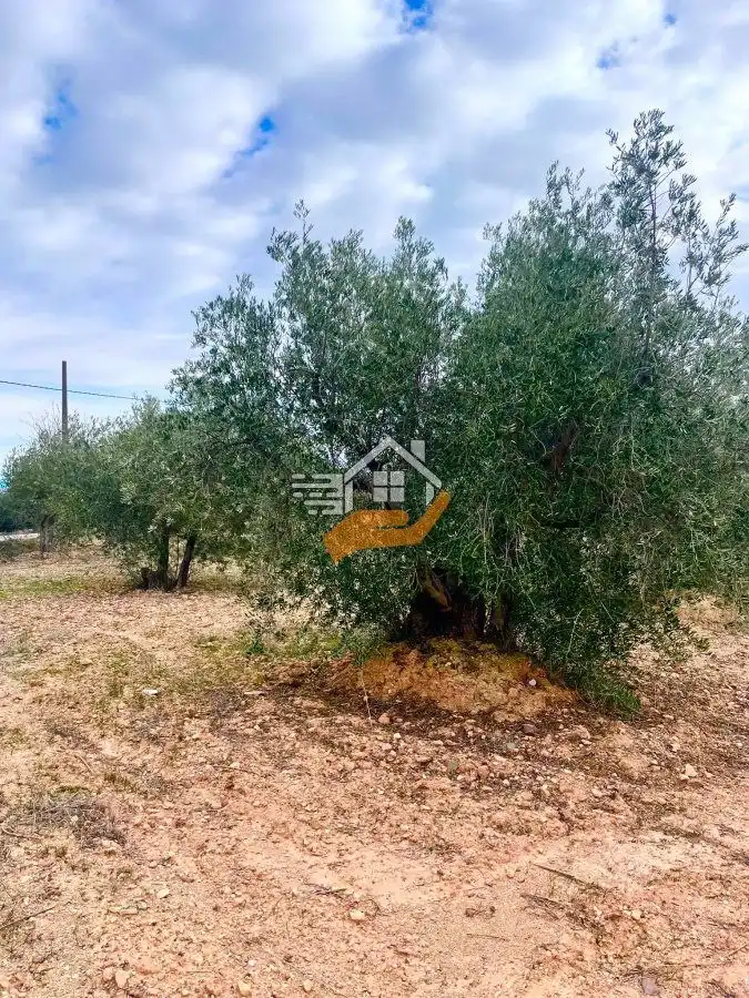Residential land for sale in Vélez-Rubio, imagen 15