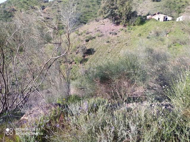 Terreno en Venta en Escribano en Nueva Aljaima - Las Tres Leguas - Los Mondeños