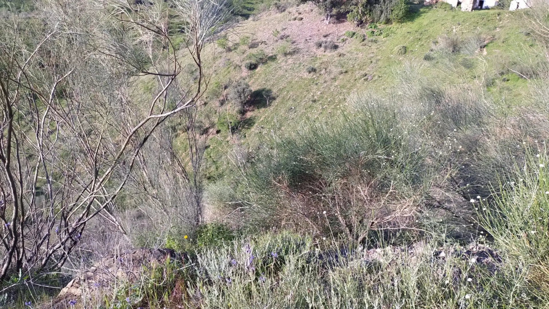 Terreno en venta en Cártama