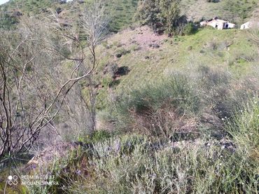 Terreno rustico in vendita a Escribano