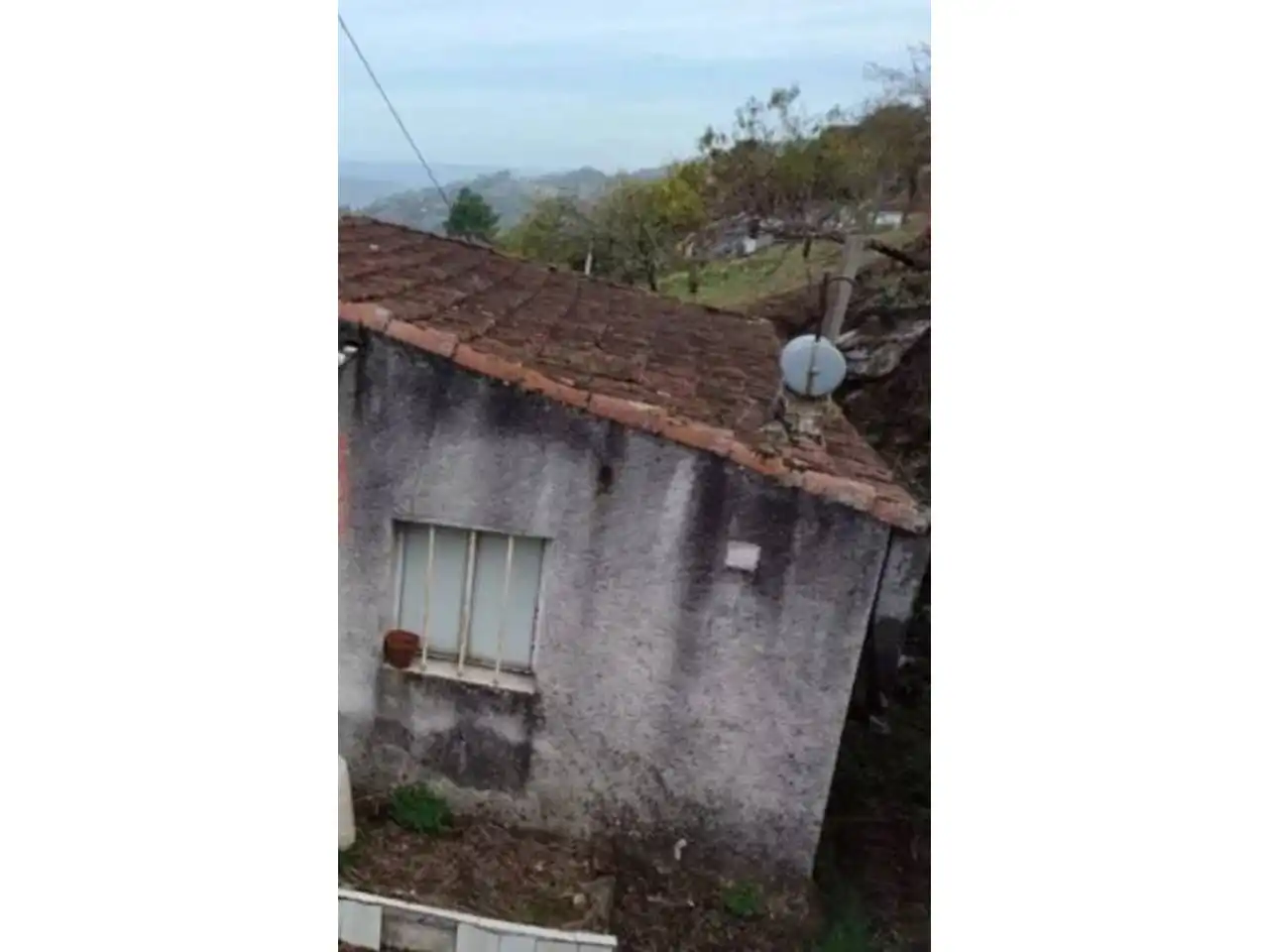 Exterior view of Houses for sale in Ourense Capital   with Private garden