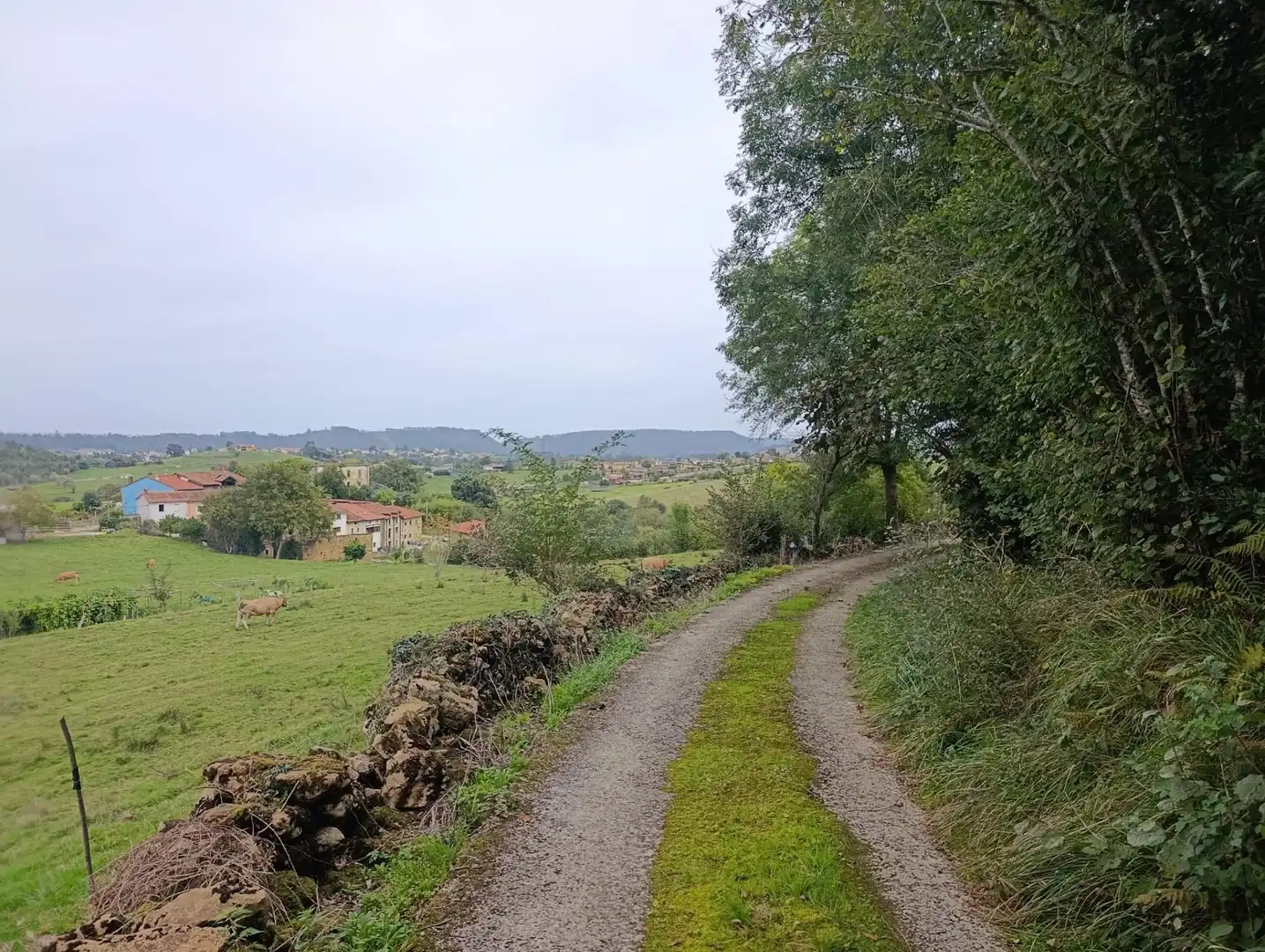 Rustikales Grundstück zum Verkauf in Carretera Piñera (Noriega) 0, imagen 65