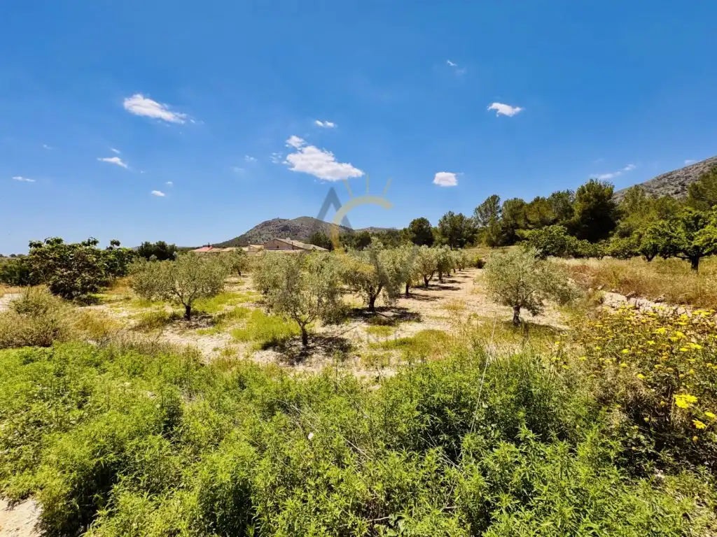 Casa rústica en venta en Partida Romaneta La, imagen 25