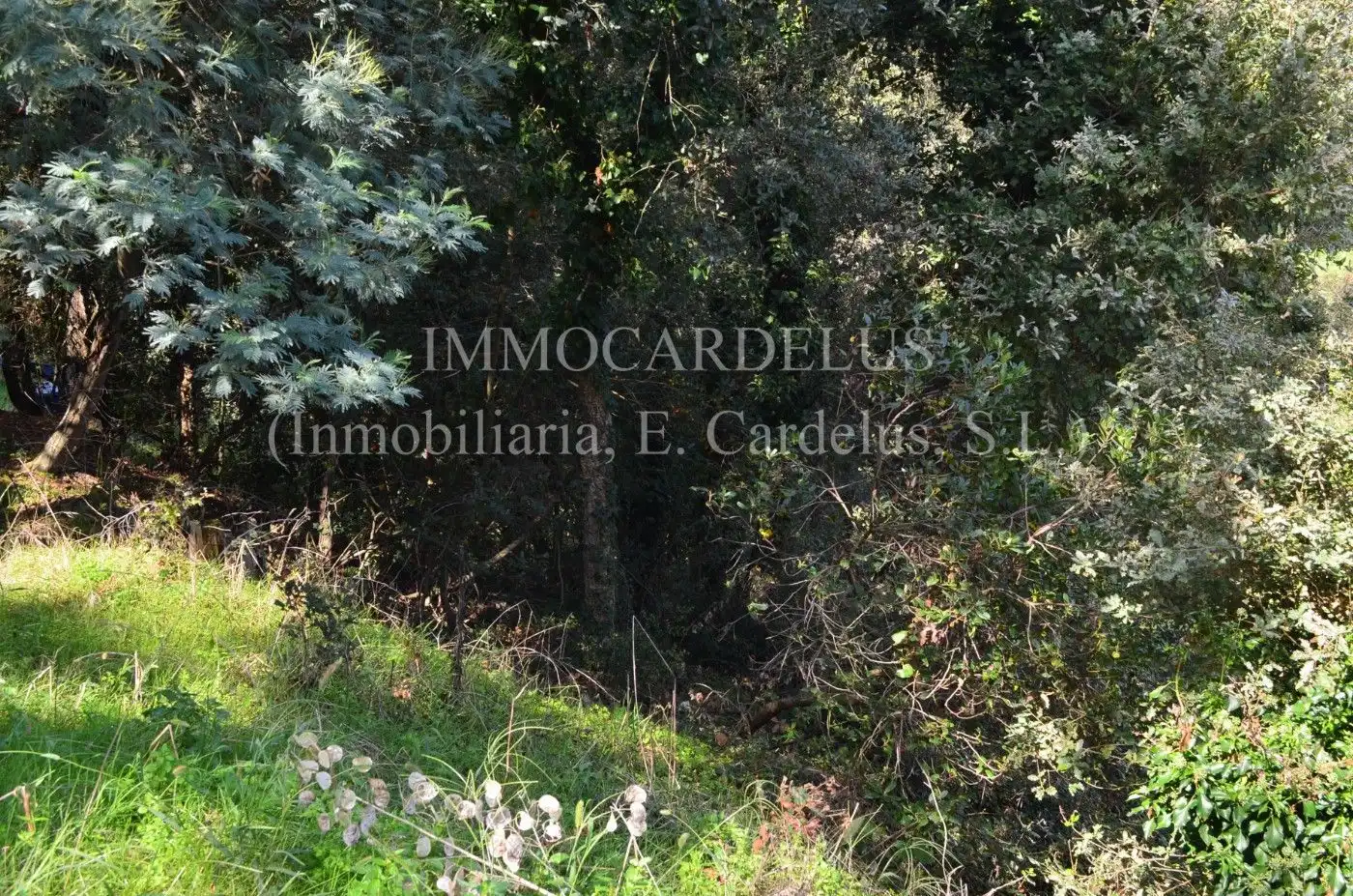 Wohnbaugrundstück zum Verkauf in Sant Celoni, imagen 6