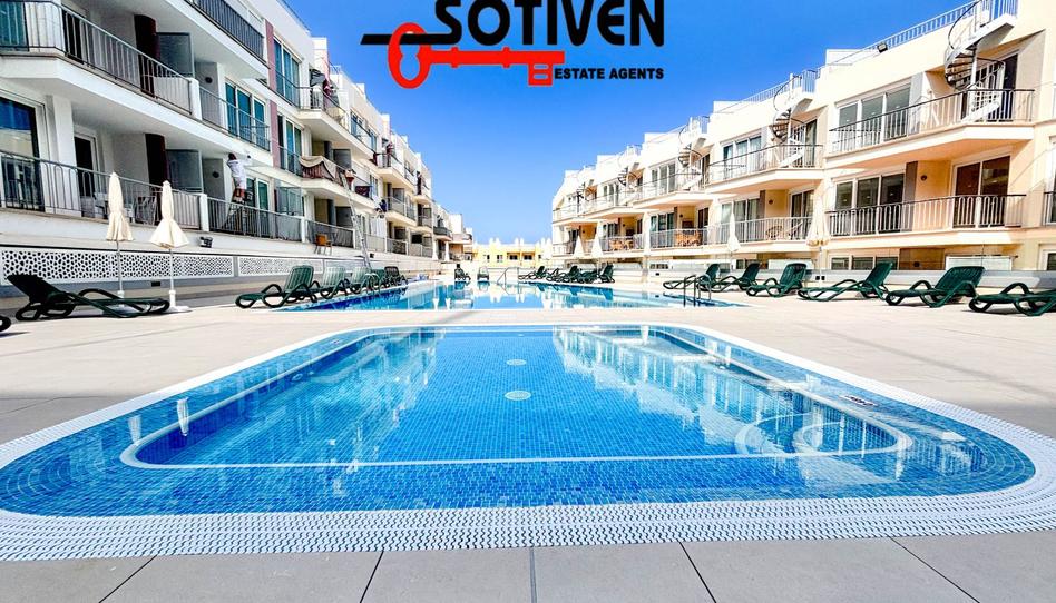 Foto 1 de Apartamento de alquiler en Puerto de Santiago, Santa Cruz de Tenerife