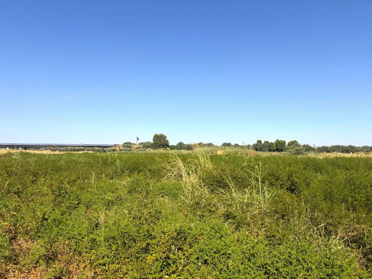 Terreno en venta en Santiponce