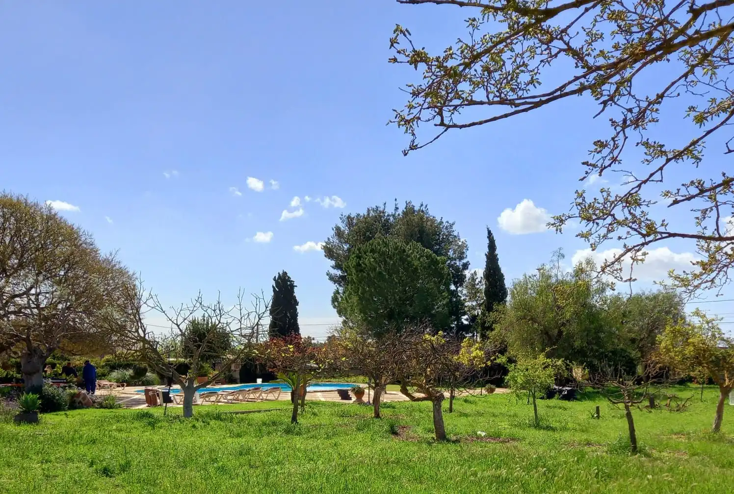 Casa o xalet en venda a Son Sardina
