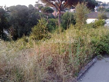 Terreny residencial en venda a Mas Altaba - El Molí