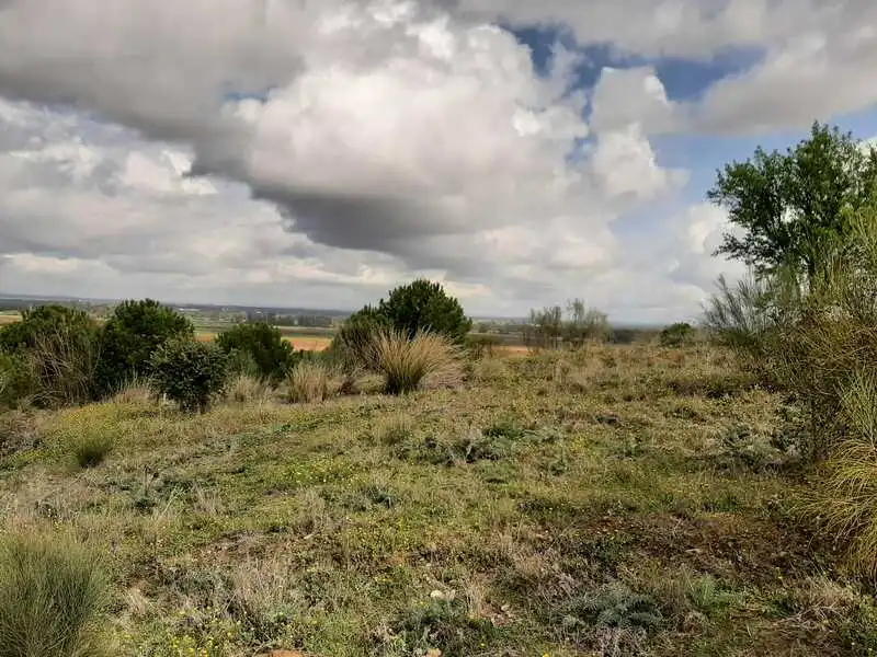 Terreni e lotti in vendita a GOLF DEL GUADIANA, imagen 16