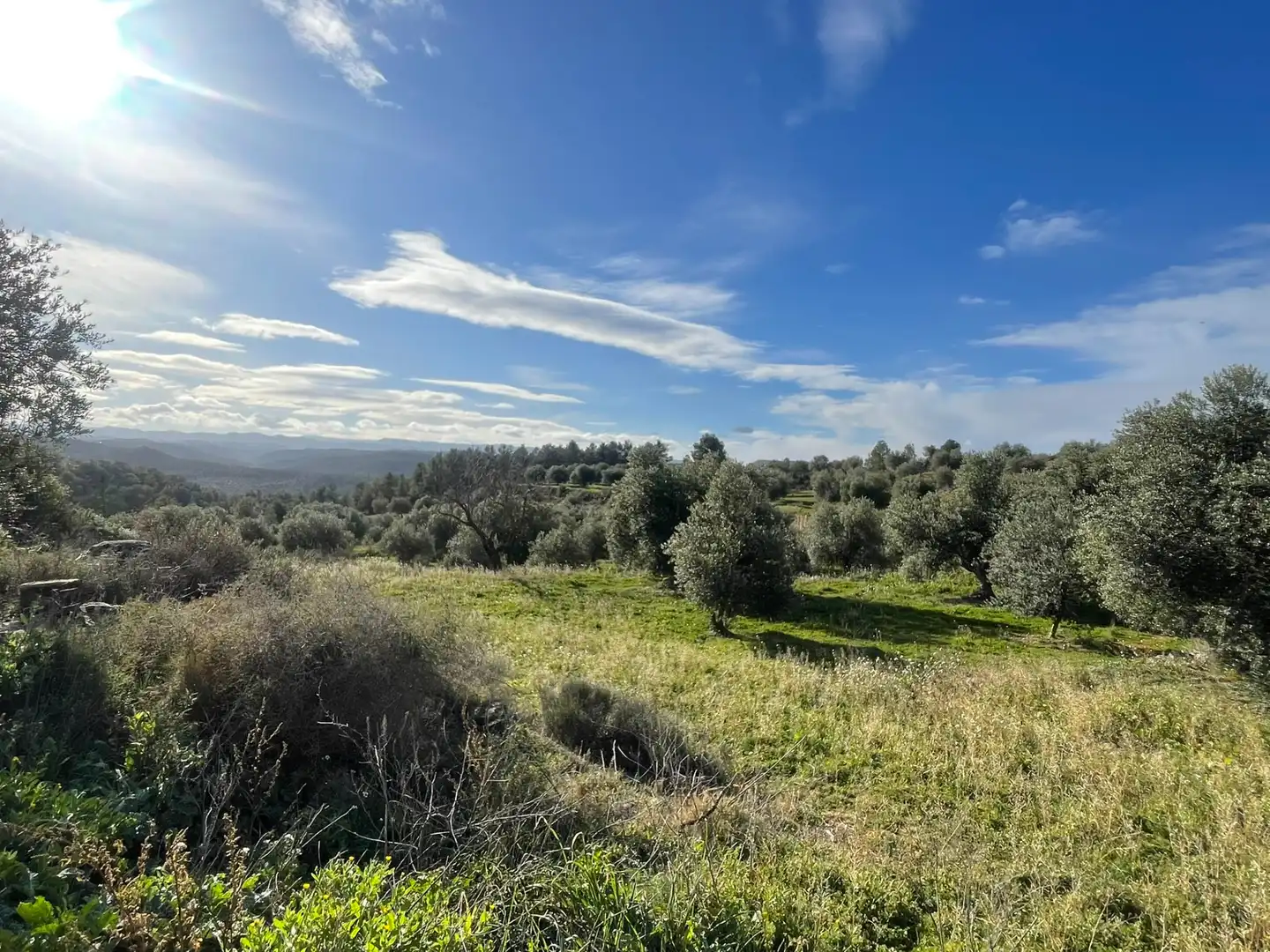 Rural land for sale in Cervià de Les Garrigues, imagen 20