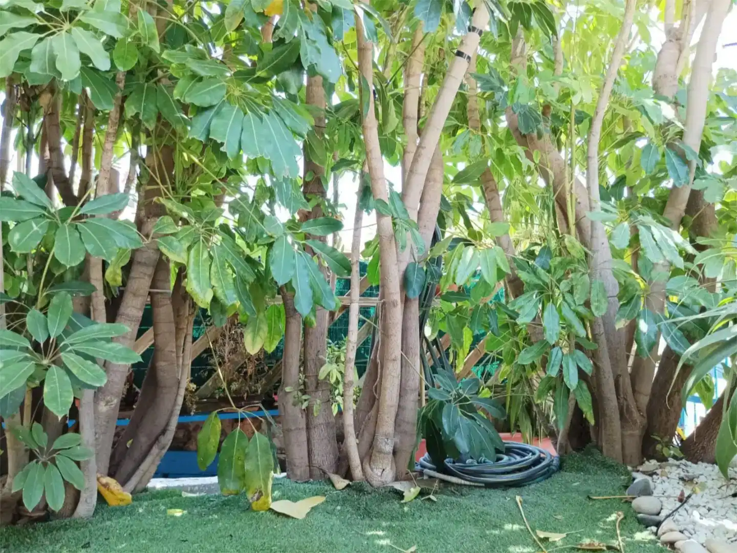 Jardín de Piso en venta en La Nucia con Aire acondicionado, Piscina y Balcón