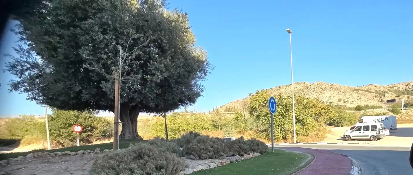 Terreno residencial en venta en Avenida de Juan ⅩⅩⅢ 14, imagen 11