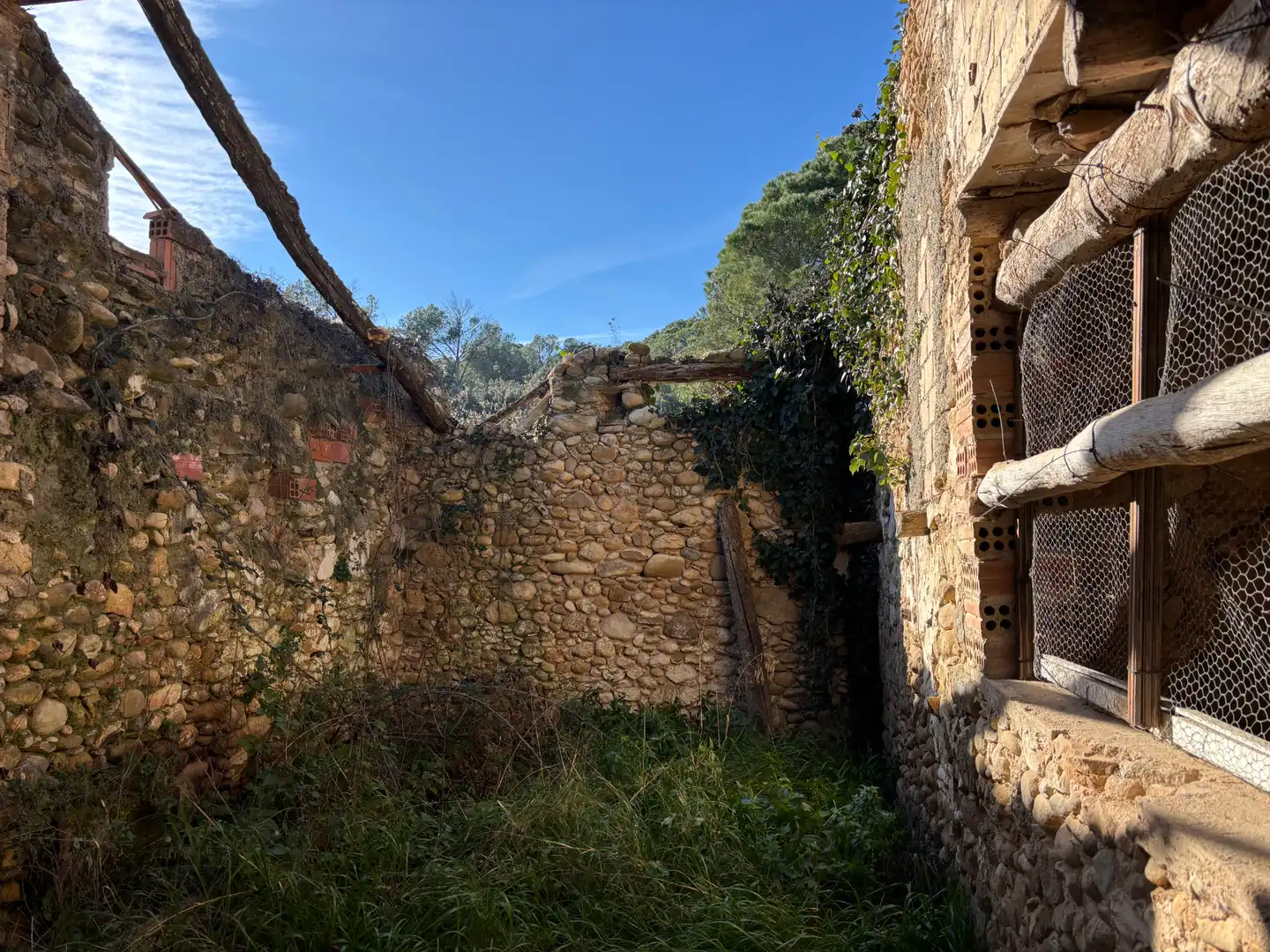 Vista exterior de Finca rústica en venta en Crespià