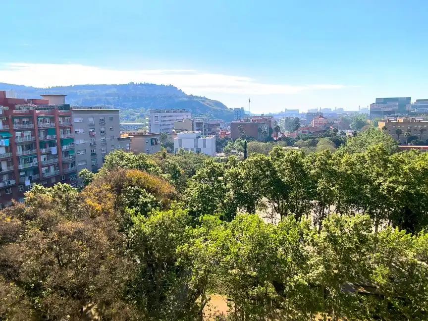 Penthouse with lift for sale in Carrer dels Alts Forns 68, imagen 3