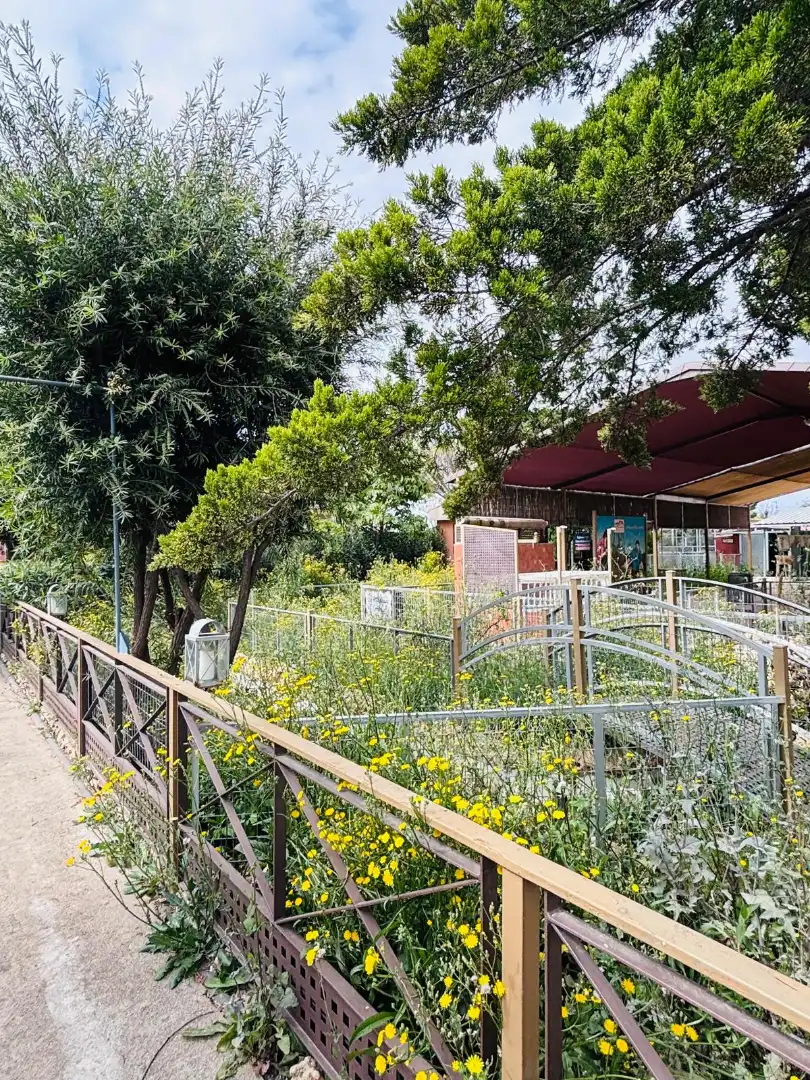 Jardín de Local en venta en Murcia con Aire acondicionado, Calefacción y Terraza