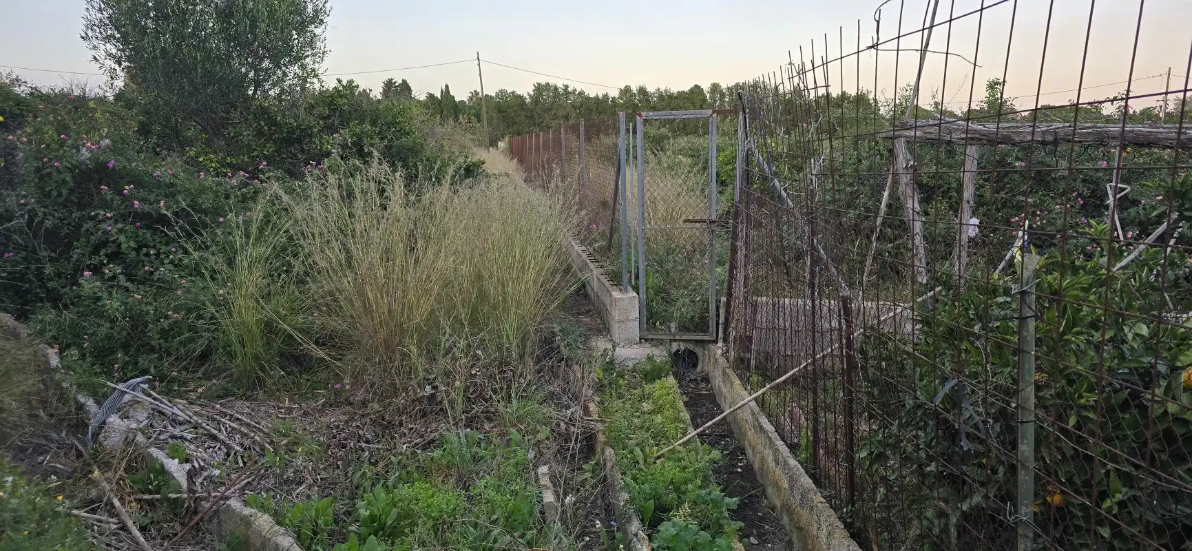 Grundstücke zum Verkauf in Dénia