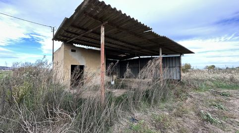 PARCELA DE REGADIO