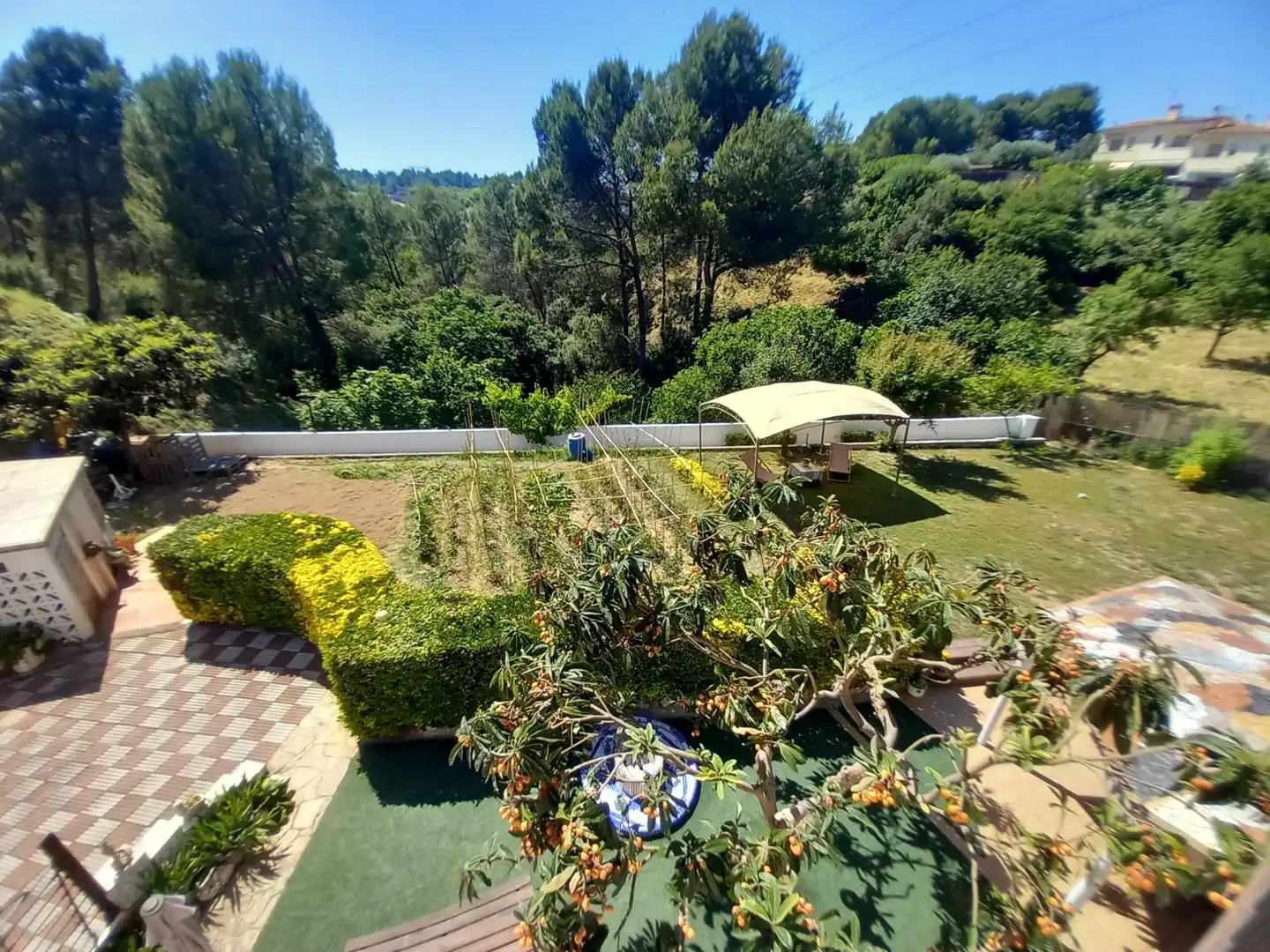 Jardí de Casa o xalet en venda en Castellbisbal amb Calefacció