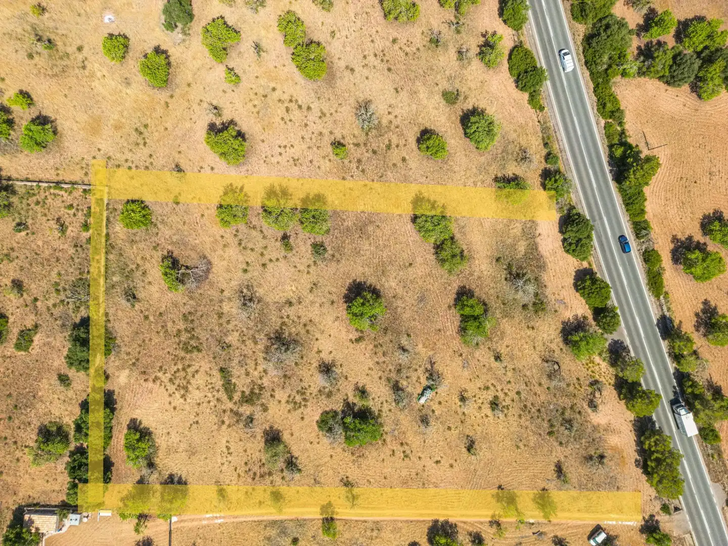 Rural land for sale in Felanitx Poble