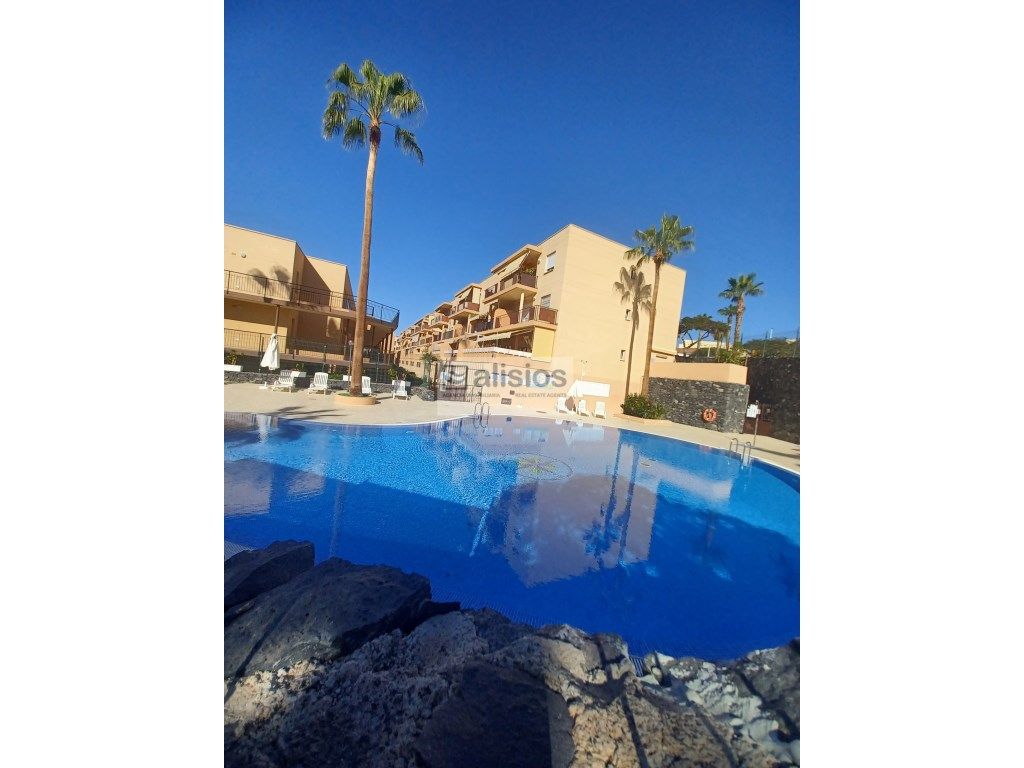 Swimming pool of Flat for sale in Adeje