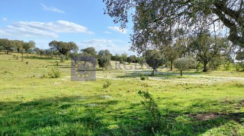 Photo 4 of Premises for sale in N/a, Aliseda, Cáceres