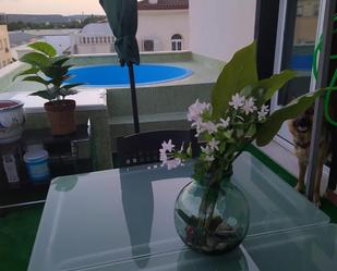 Swimming pool of Single-family semi-detached for sale in Andújar  with Air Conditioner, Terrace and Swimming Pool