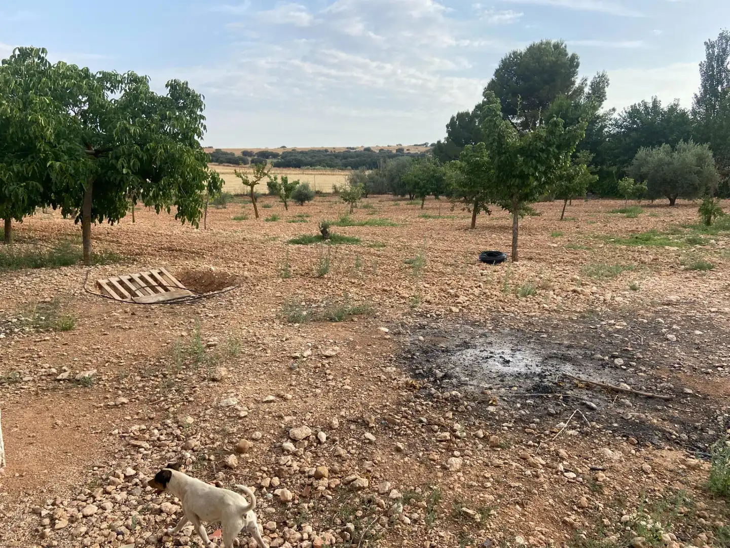 Casa o chalet en venta en Ciudad Real con Aire acondicionado, Calefacción y Jardín privado