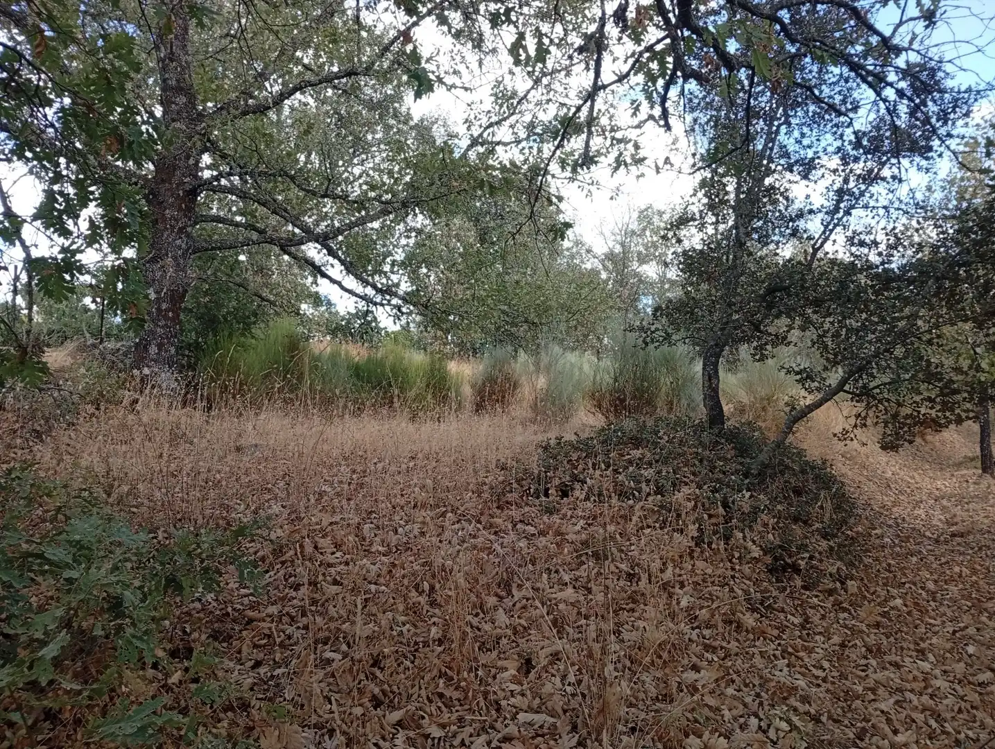 Terreni e lotti in vendita a Villanueva de la Vera, imagen 103