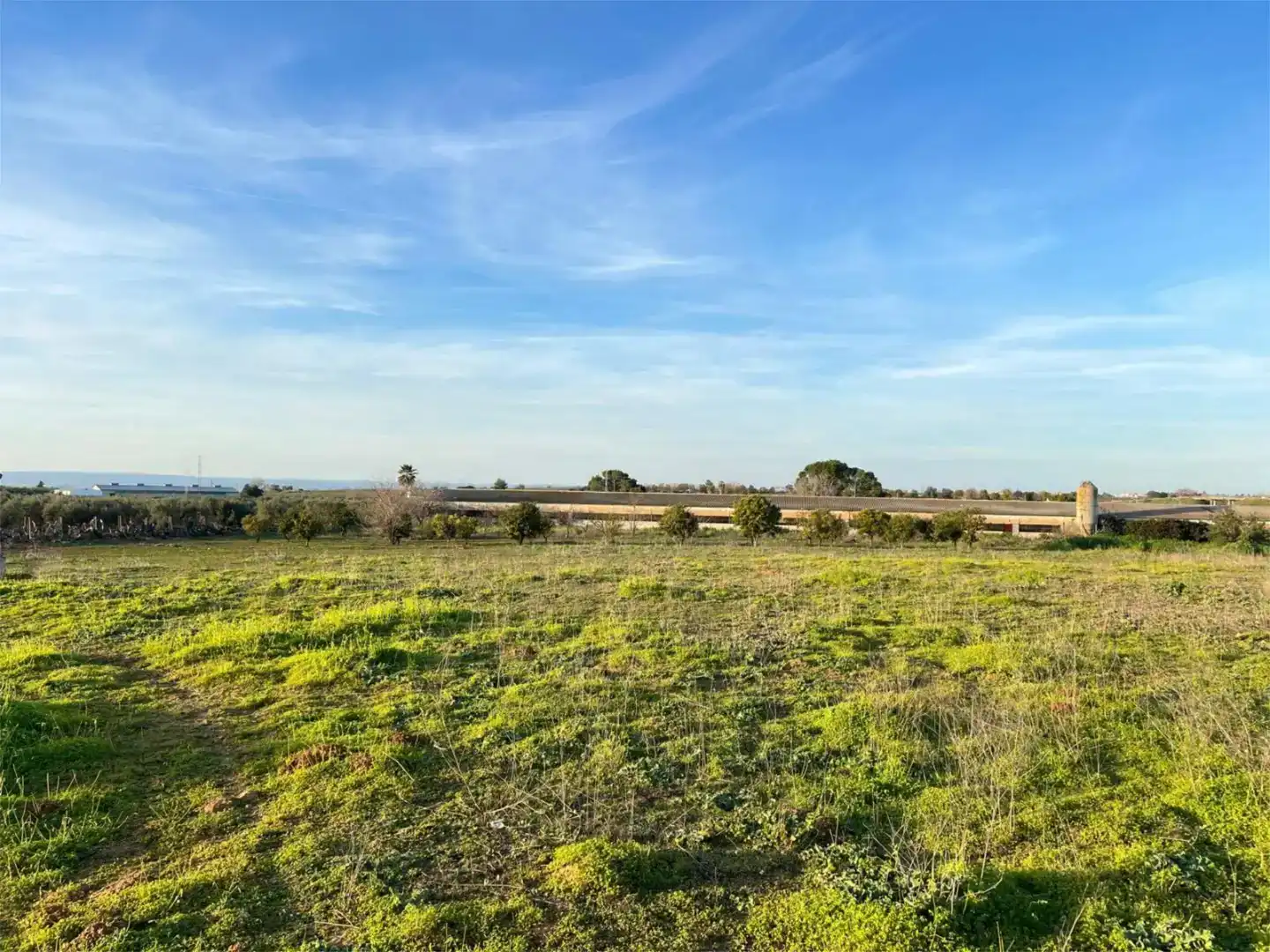 Terreno en venta en Benacazón