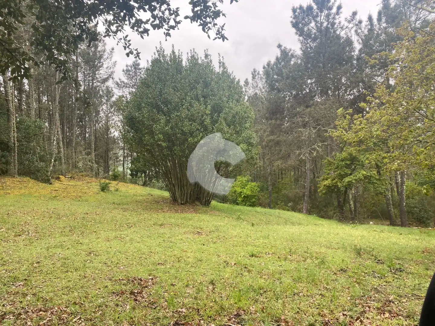 Terreni e lotti in vendita a O Pereiro de Aguiar, imagen 6
