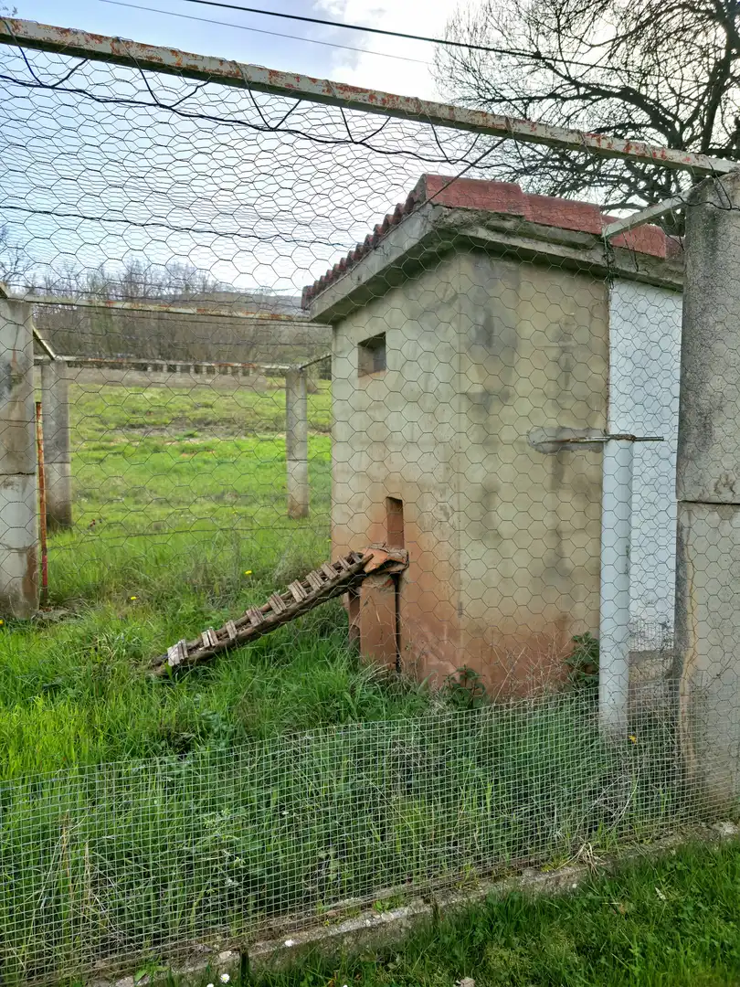 Jardí de Casa o xalet en venda en Pomar de Valdivia amb Calefacció, Jardí privat i Terrassa