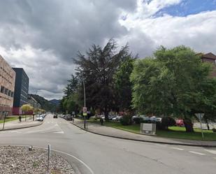 Vista exterior de Pis en venda en Mieres (Asturias) amb Jardí privat