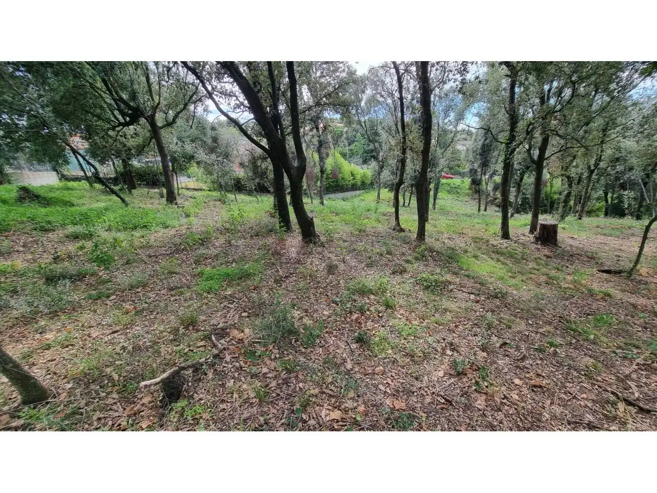 Terreny residencial en venda a Calle Tórtora 145, imagen 5
