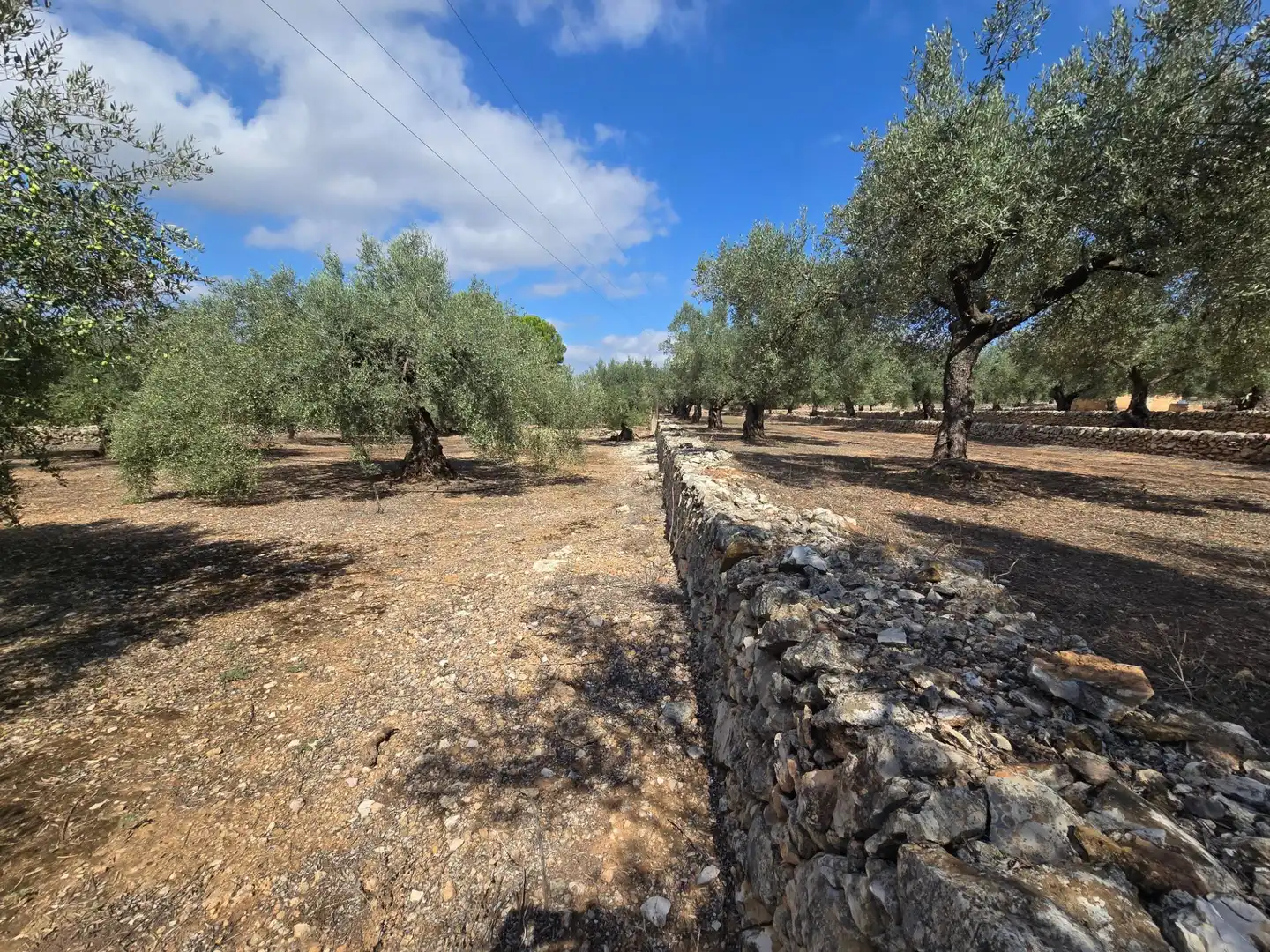 Finca rústica en venta en Freginals con Jardín privado