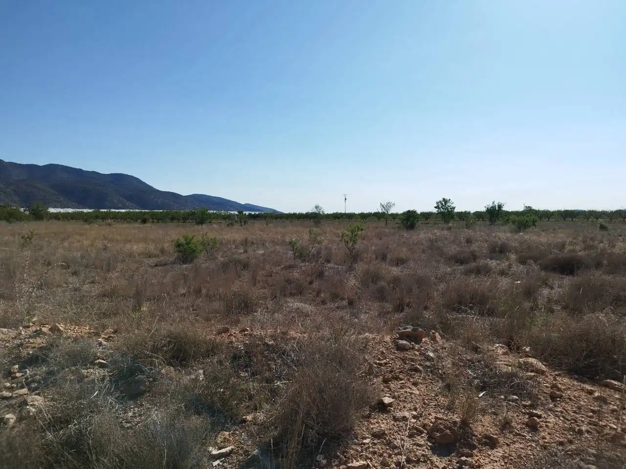 Terreny rústic en venda a Caravaca de la Cruz, imagen 3
