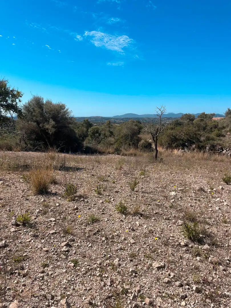 Rural land for sale in Sant Llorenç des Cardassar, imagen 11