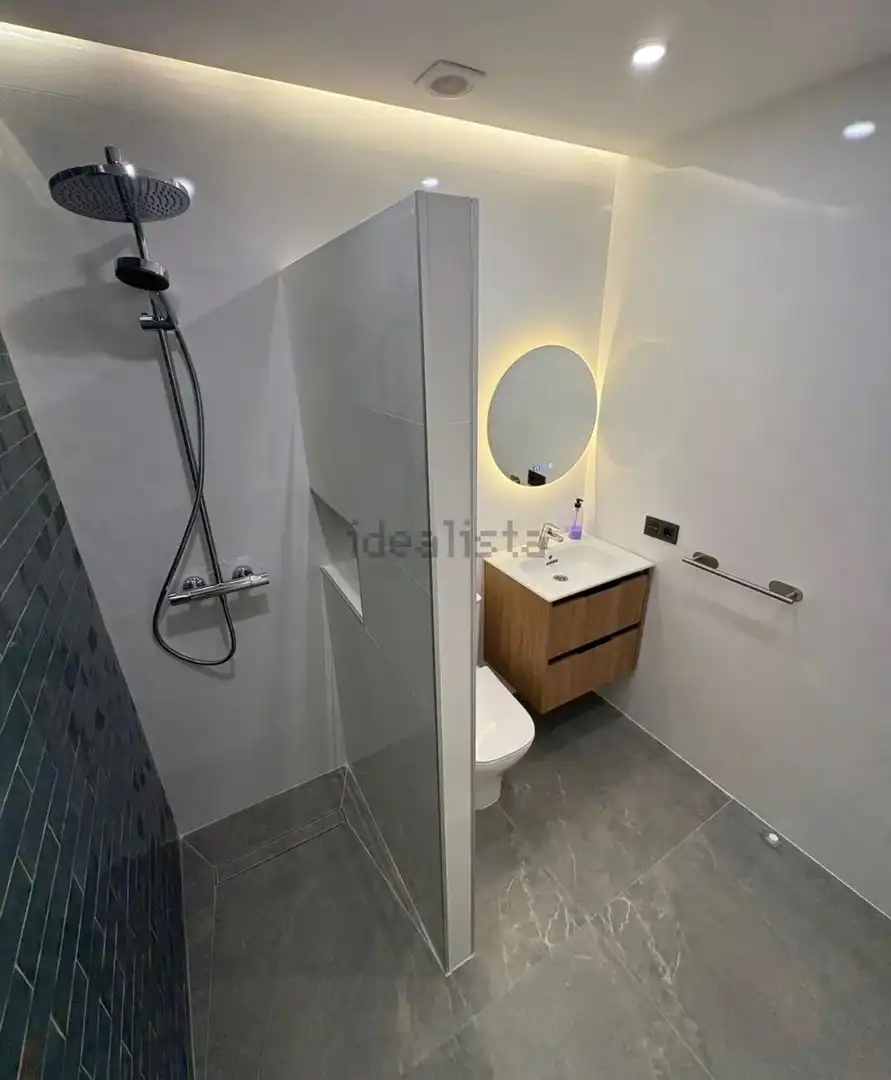 Bathroom of Apartments for rent in Marbella  with Terrace and Furnished