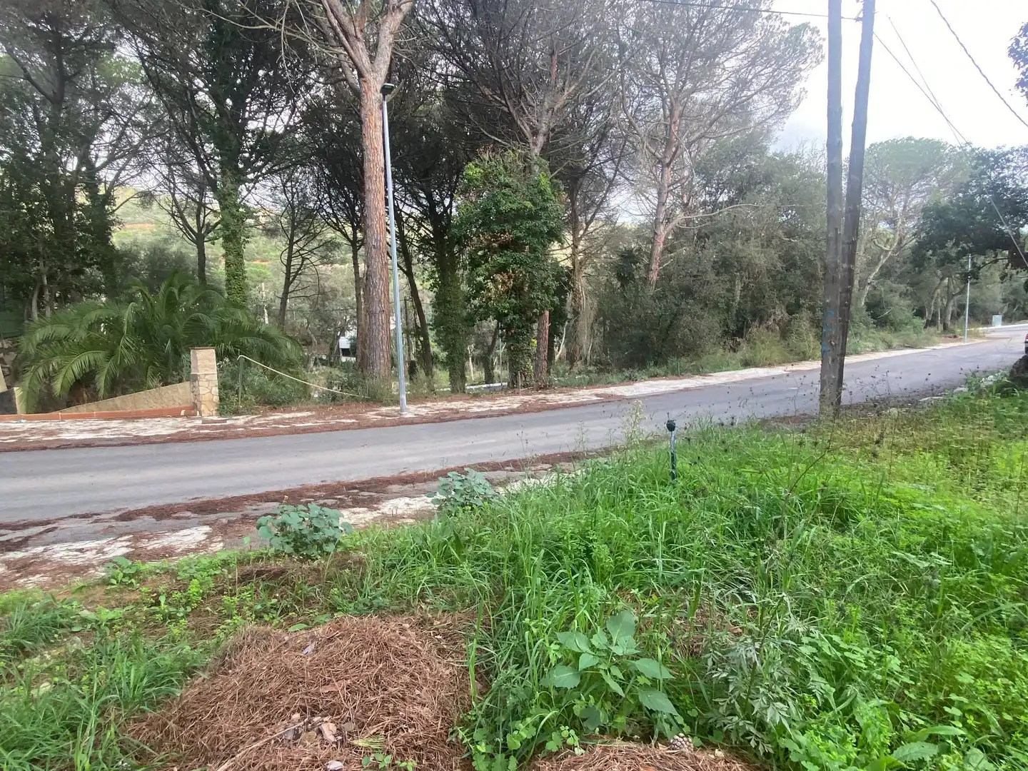 Maison avec jardin à vendre à Mas Pere - Río de Oro, imagen 21