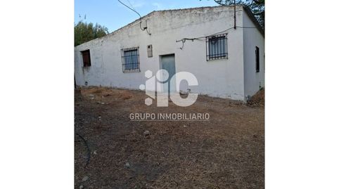 CASA DE CAMPO CON PISCINA LUZ AGUA LEGAL. OLIVAR 9 FANEGAS. TIERRA CALMA  3,5 FANEGAS A UN PASO DE BAENA, immagine 3
