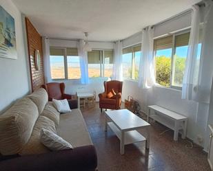 Living room of Flat to rent in Alicante / Alacant  with Furnished and Pets allowed