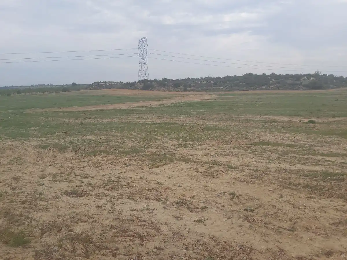 Finca rústica en venta en Seròs