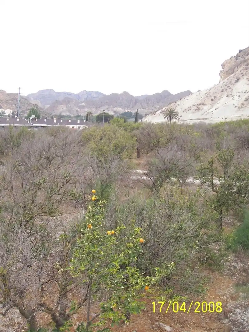 Residential land for sale in Calle Calvario 10, imagen 3