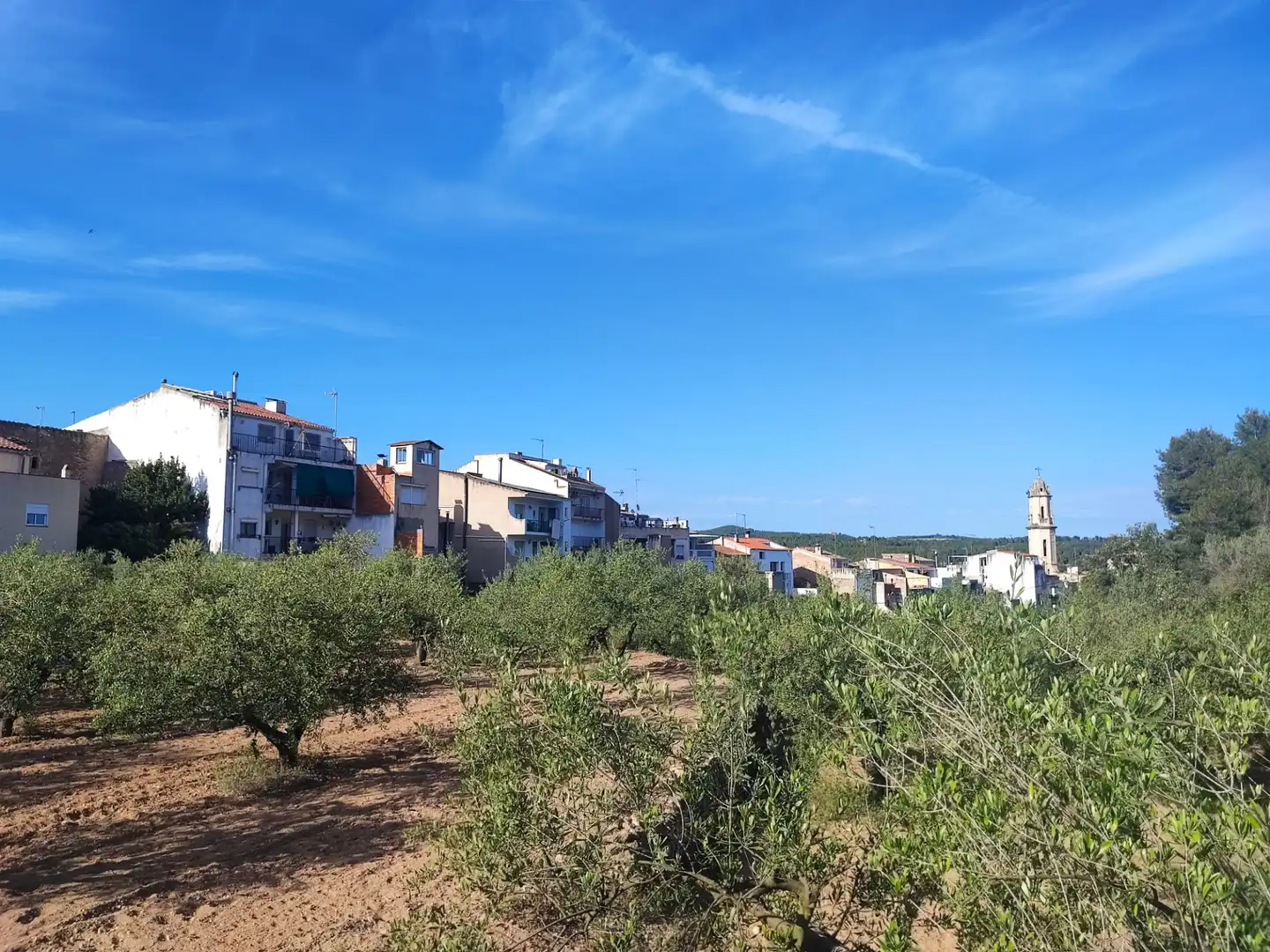 Casa con jardín en venta en Carrer de França, imagen 6
