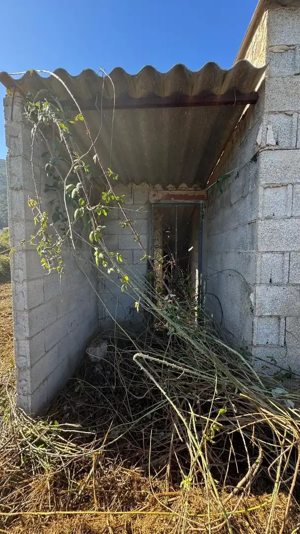 Finca rústica en venta en Simat de la Valldigna