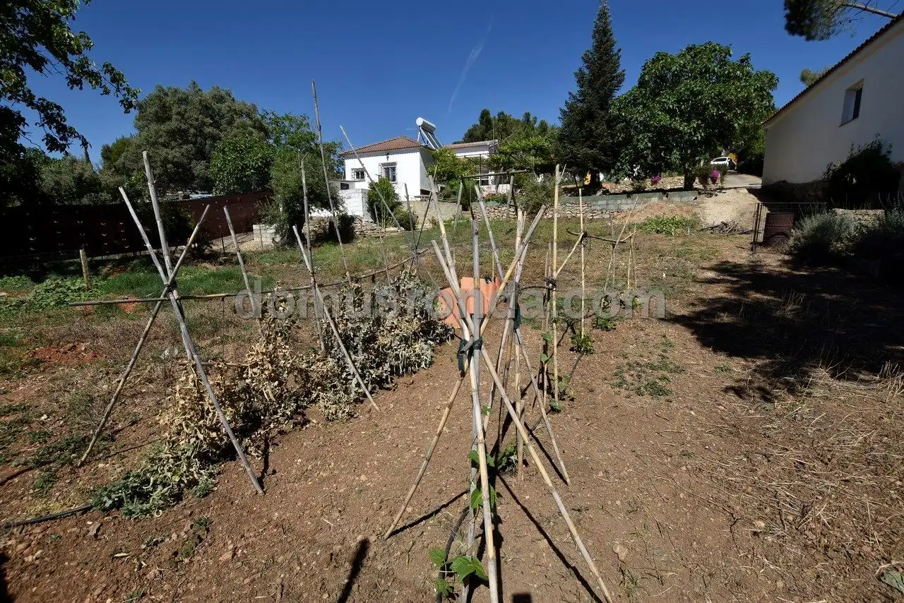 Finca rústica en venta en Partidas Norte