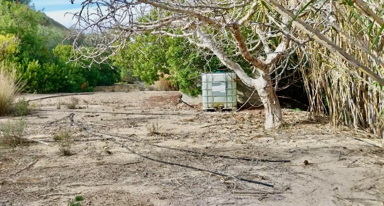 Terreno rustico in vendita a Platja de Torres, imagen 16